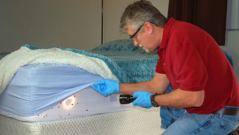 How to Survive Bed Bug Infestation as a Family